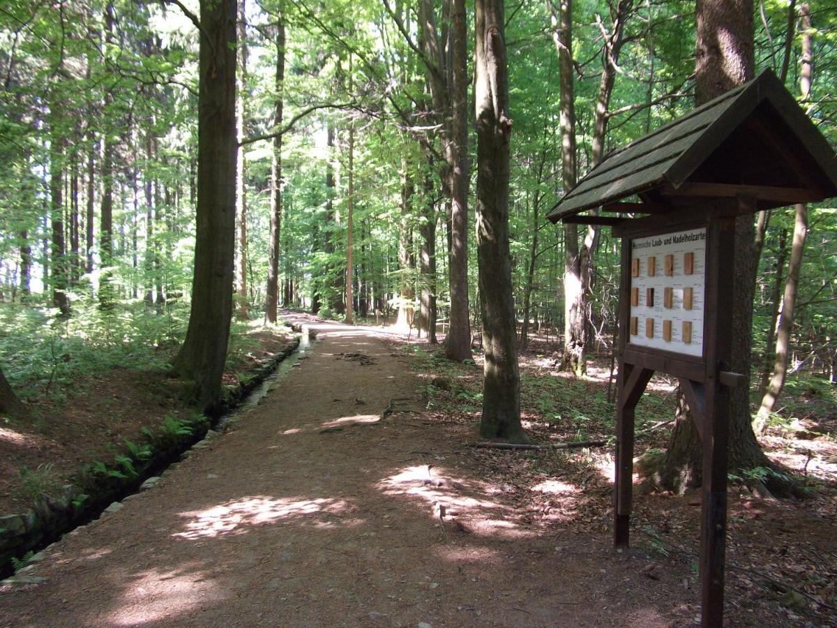 Ferienwohnung Erzgebirge - Pobershau - Mit Schoenem Ausblick, Ruhige, Beste Lage المظهر الخارجي الصورة