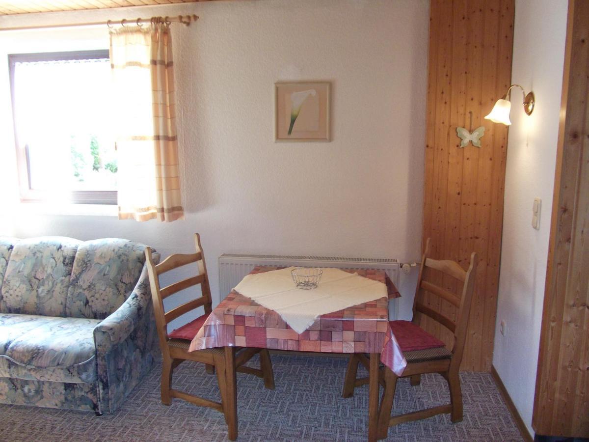 Ferienwohnung Erzgebirge - Pobershau - Mit Schoenem Ausblick, Ruhige, Beste Lage المظهر الخارجي الصورة